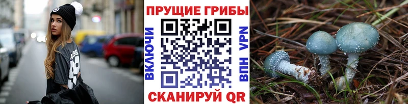 Галлюциногенные грибы Magic Shrooms  Купить где  Кола 