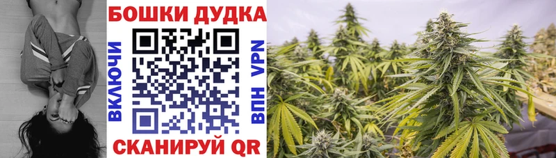 Марихуана THC 21% Купить закладки Кола
